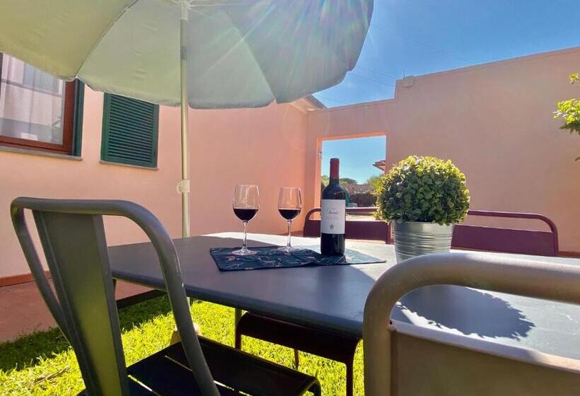 Студия Стандарт, Residence Terme Isola D Elba Srl