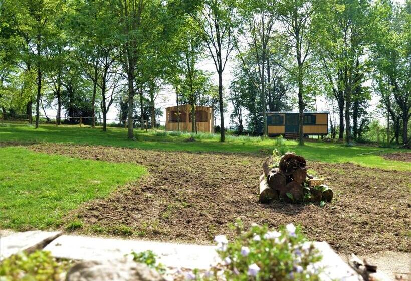 Семейный Номер, Le Camp Du Fauconnier
