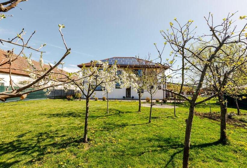 اتاق لوکس, Gasthaus Sacalaz