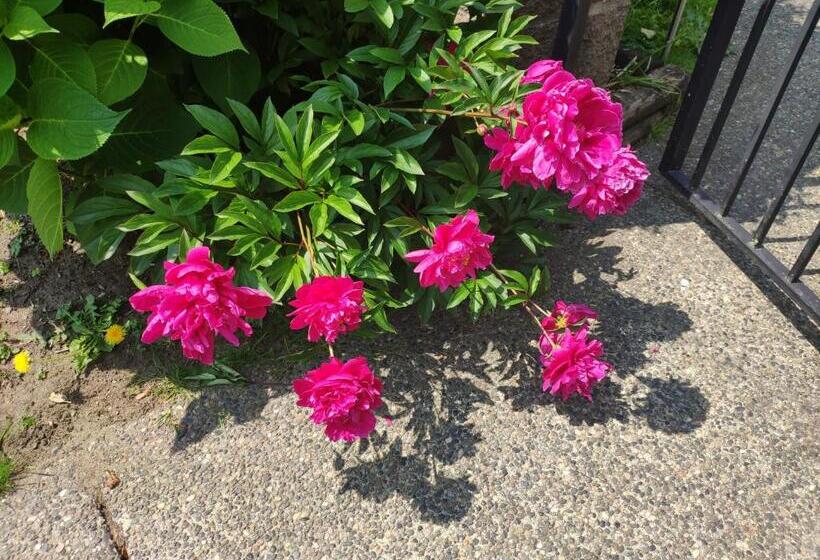 غرفة قياسية فردية, Helen S House / Close To Skytrain And Airport