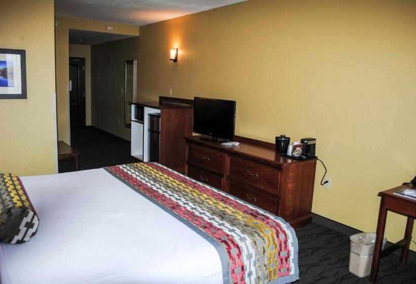 Номер Стандарт Кровать Кинг Адаптированный для Инвалидов, Best Western Executive Inn & Suites