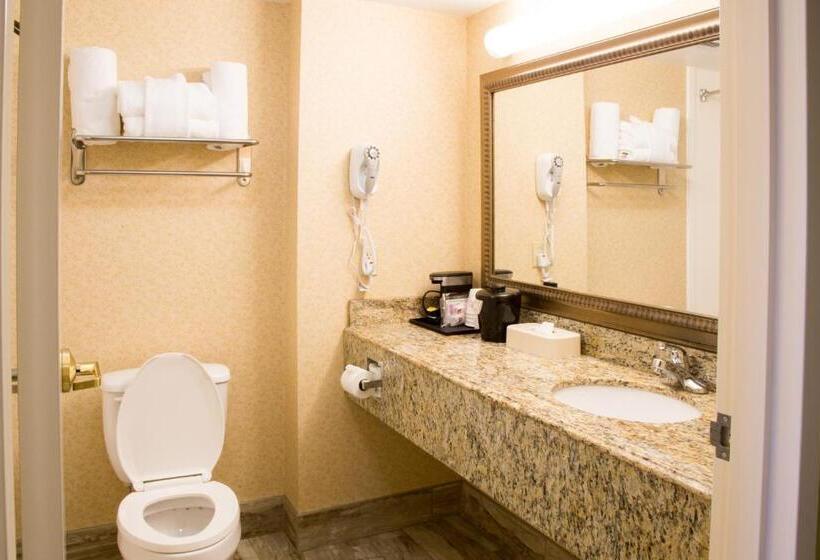 Люкс Кровать Кинг, Best Western Executive Inn & Suites