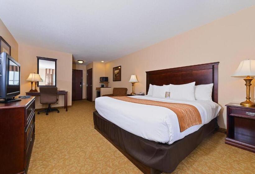 Стандартный Номер Кровать Кинг, Comfort Inn & Suites Mcminnville Wine Country