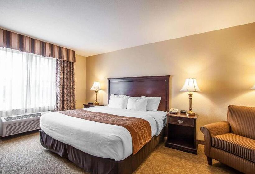 Стандартный Номер Кровать Кинг, Comfort Inn & Suites Mcminnville Wine Country
