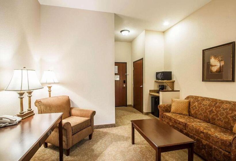 Люкс Кровать Кинг, Comfort Inn & Suites Mcminnville Wine Country