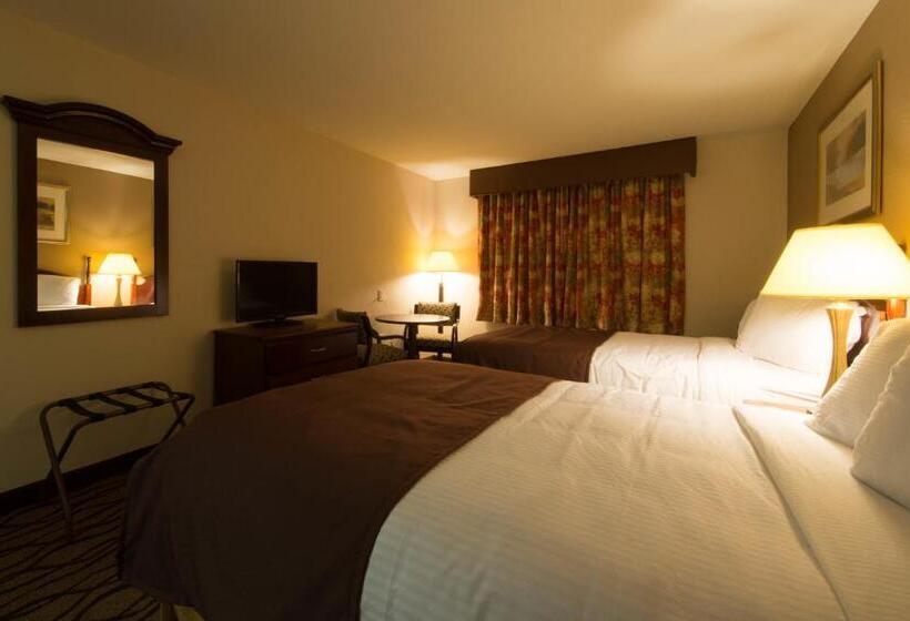 스탠다드 룸, Country Hearth Inn Toccoa