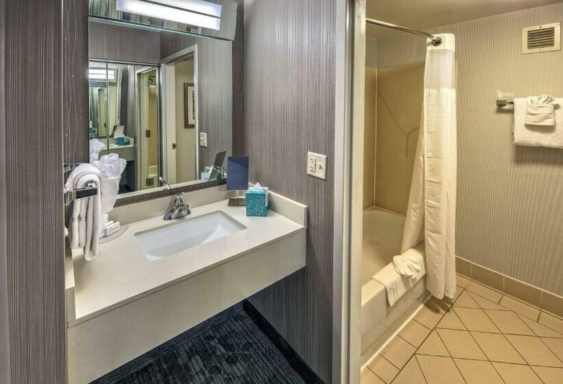 스탠다드 룸, Courtyard By Marriott Springfield