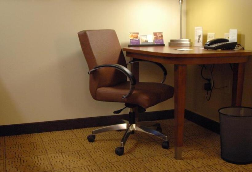 اتاق استاندارد با تخت بزرگ, Hyatt Place Reno/tahoe Airport
