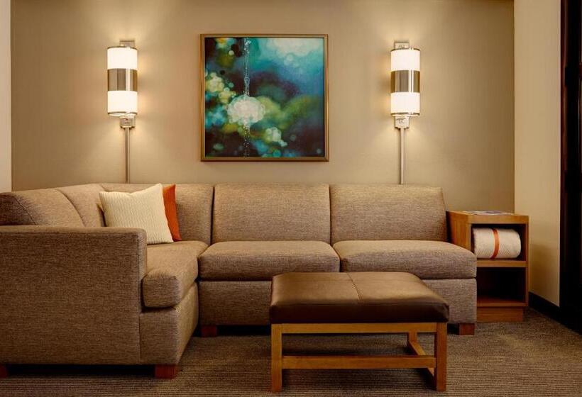 اتاق استاندارد با تخت بزرگ, Hyatt Place Reno/tahoe Airport