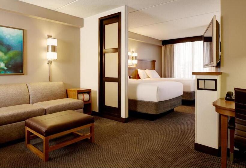 اتاق استاندارد برای معلولان, Hyatt Place Reno/tahoe Airport