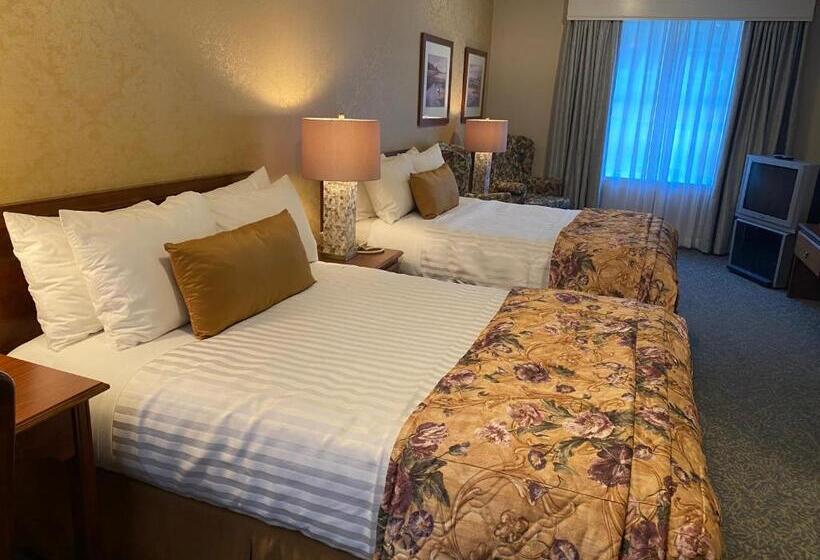 اتاق استاندارد با 2 تخت دوبل, Kingston
