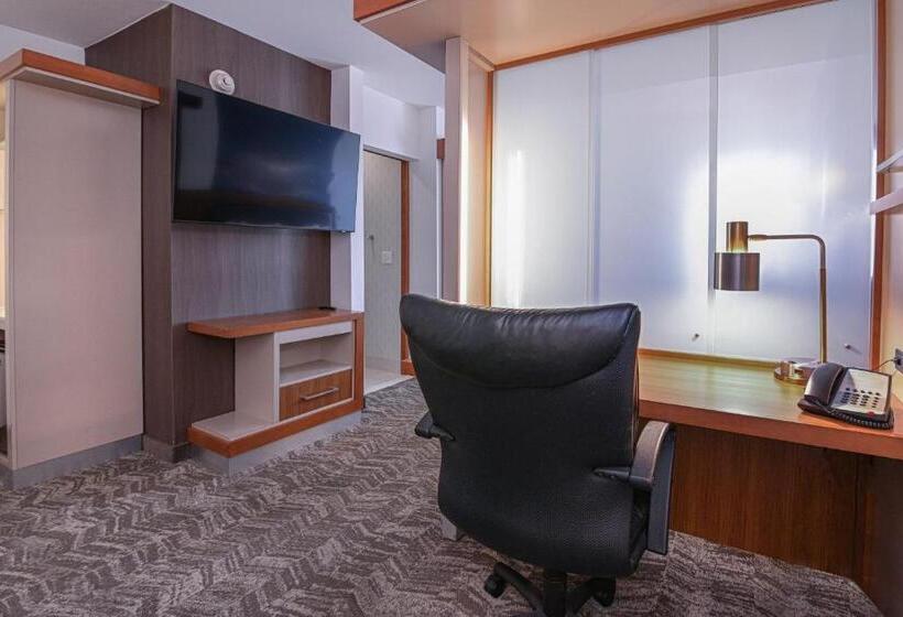Студио Стандарт Кровать Кинг, Springhill Suites By Marriott Grand Forks