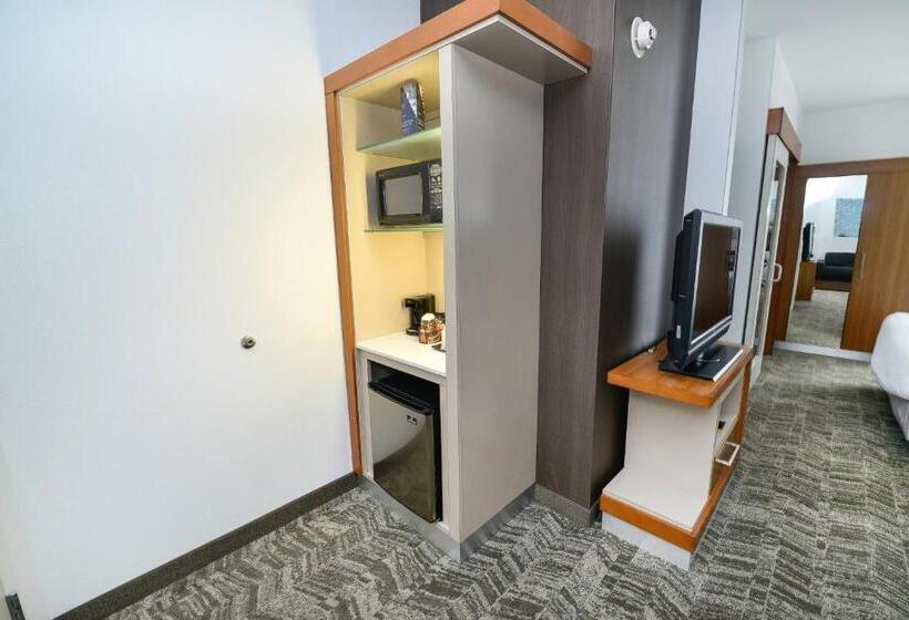 Студия Стандарт, Springhill Suites By Marriott Grand Forks