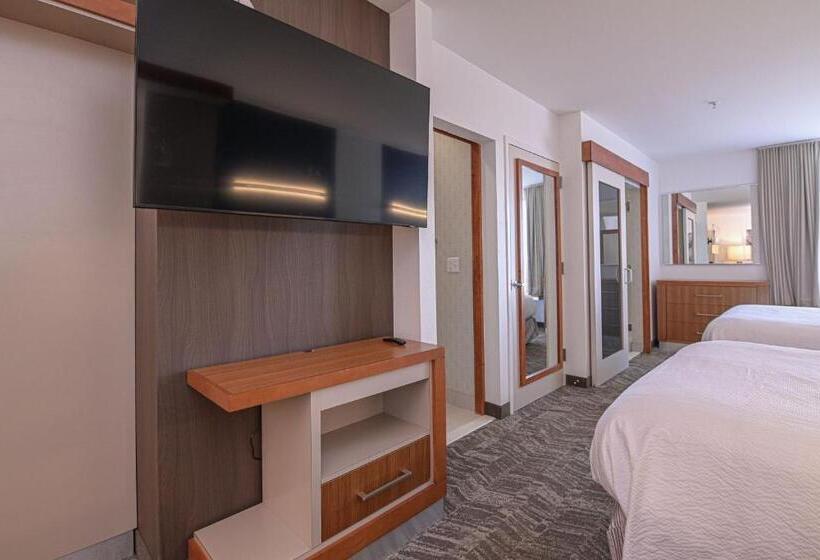 Студия Стандарт, Springhill Suites By Marriott Grand Forks