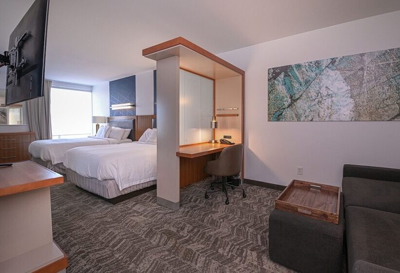 Студия Стандарт, Springhill Suites By Marriott Grand Forks