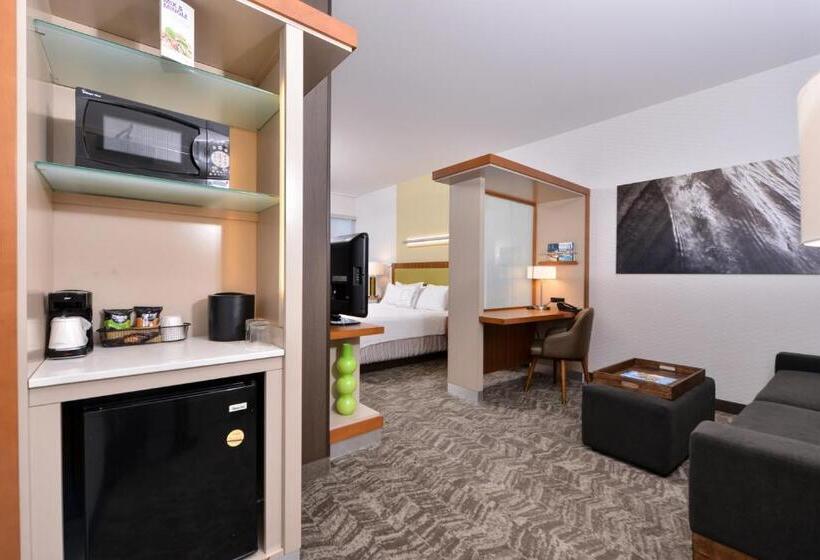 Студио Стандарт Кровать Кинг, Springhill Suites Irvine John Wayne Airport/orange County