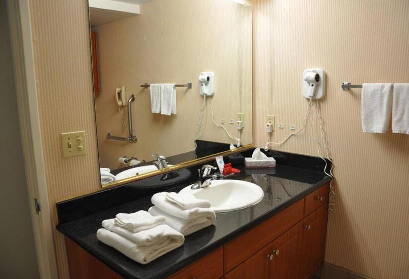 Люкс, Surestay Hotel By Best Western Castro Valley