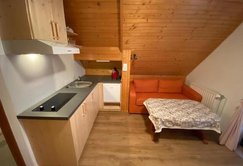استودیو استاندارد با بالکن, Hiša Planšar Bohinj Accommodations
