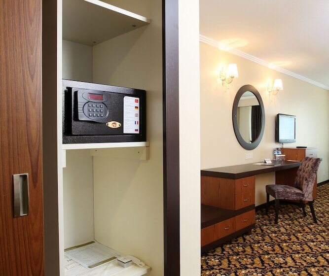 Номер Стандарт, Arya Hotel Sakarya