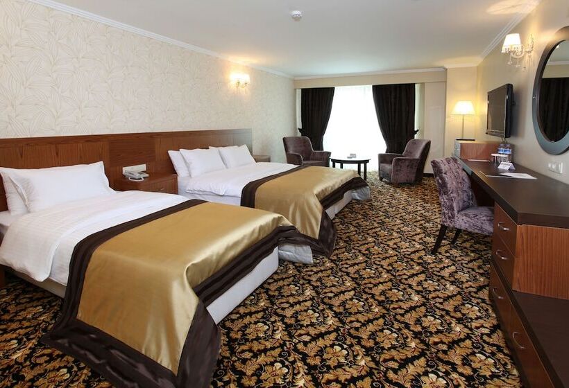 Люкс, Arya Hotel Sakarya