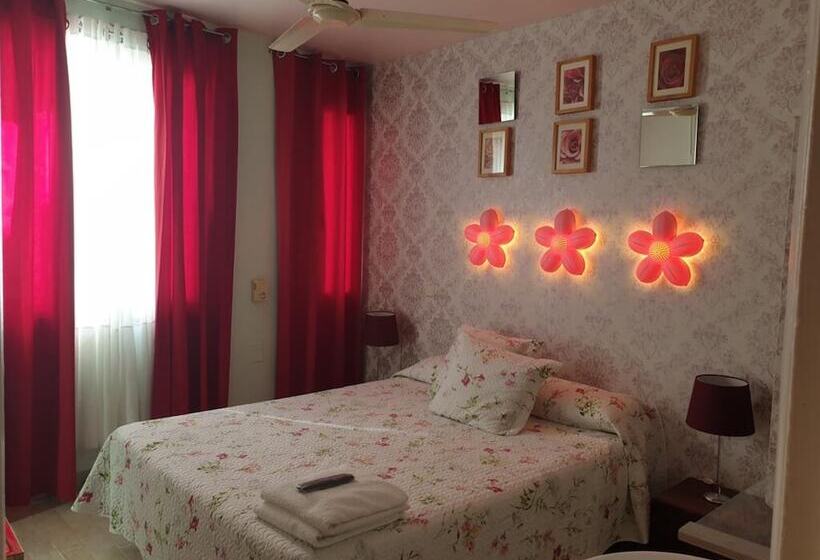 Standard Room, Casa De Huespedes Dolce Vita