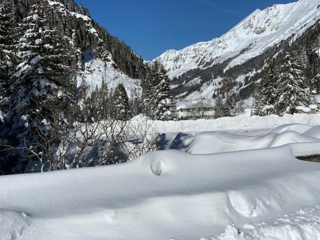 Апартаменты 1 Спальня с Видом, Alpengasthof Paletti