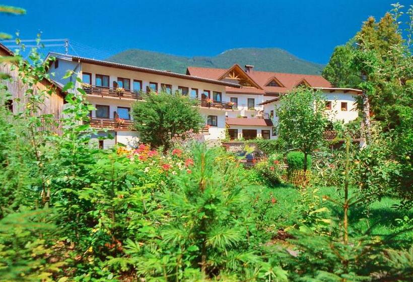 Номер Стандарт Вид на Сад, Alpenpension Birkenhof
