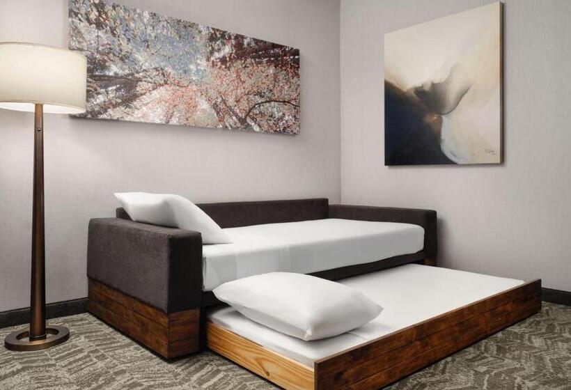 스위트 킹사이즈 침대, Springhill Suites By Marriott Milpitas Silicon Valley