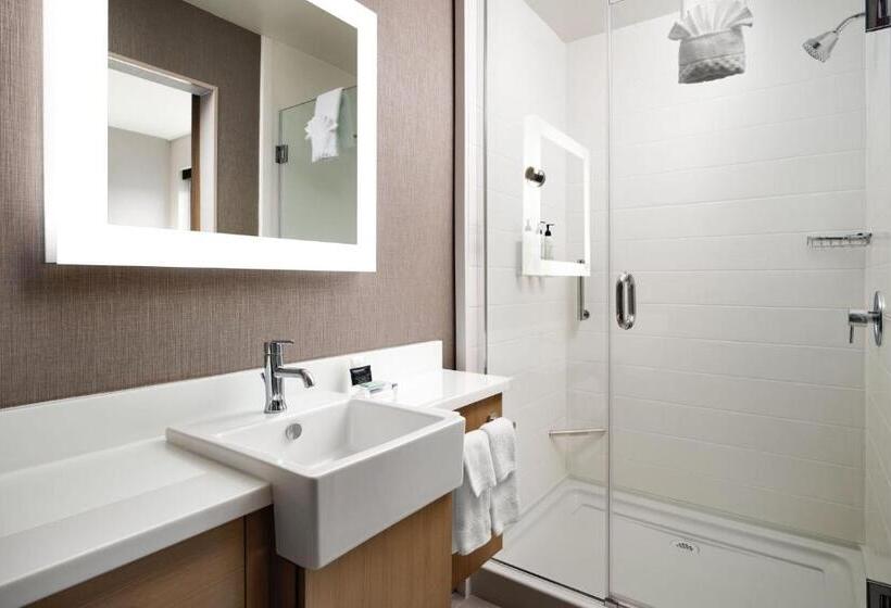 장애인을 위한 스위트, Springhill Suites By Marriott Milpitas Silicon Valley