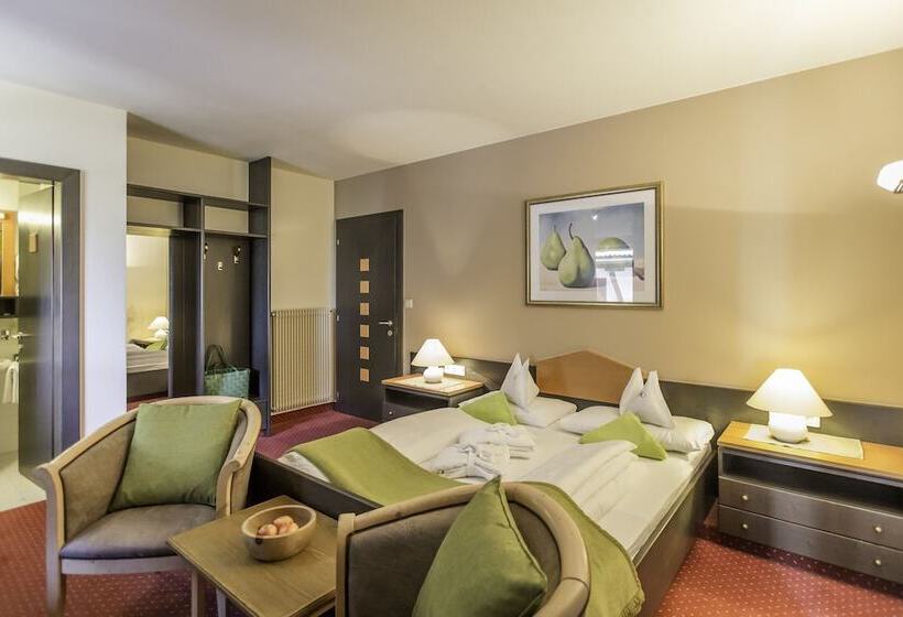Номер Стандарт с Балконом, Alphotel Stocker Alpine Wellness