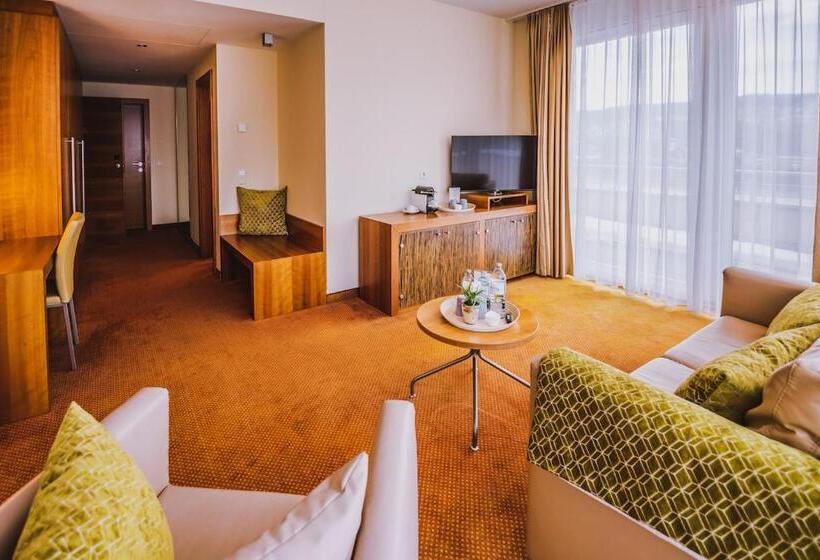 سوییت جونیور با بالکن, Seehotel Süd
