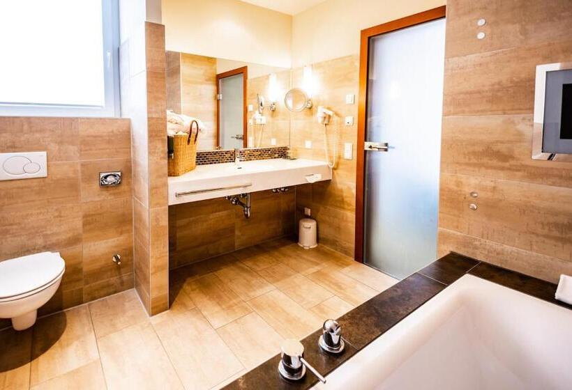 اتاق استاندارد با بالکن, Seehotel Süd