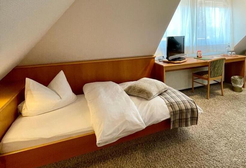 스탠다드 룸, Engelberg 24h Check In