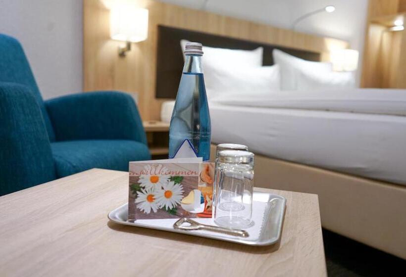 Номер Premium с Балконом, Go2bed Weil Am Rhein   Basel