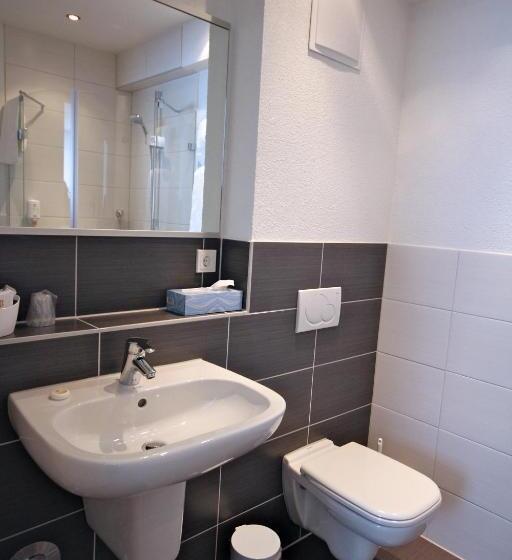 Номер Premium с Балконом, Go2bed Weil Am Rhein   Basel