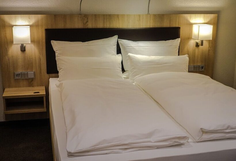 Номер Premium с Балконом, Go2bed Weil Am Rhein   Basel