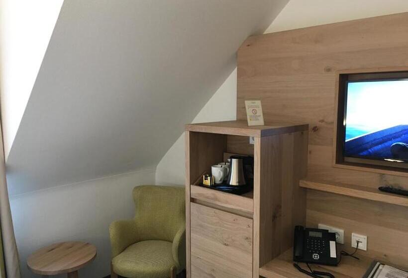 חדר סטנדרט, Villa Benz Hotel Garni