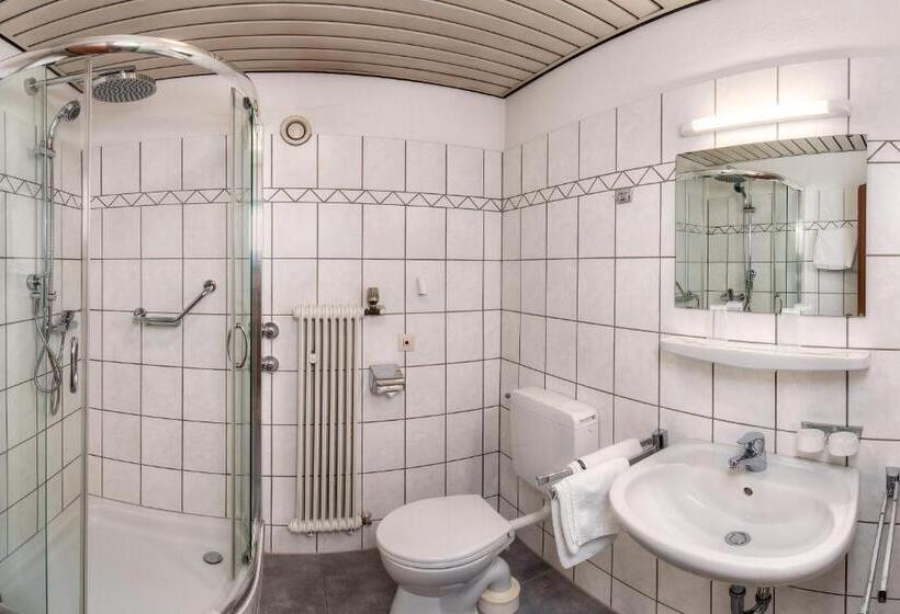 Номер Стандарт с Балконом, Alpenhotel Gastager