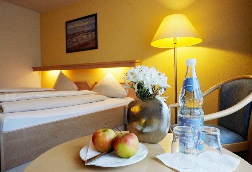 Номер Стандарт Индивидуальный, Kurhotel Panland