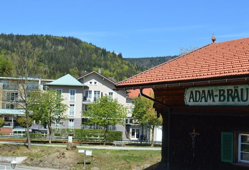 Номер Стандарт Индивидуальный, Wander  Und Aktivhotel Adam Bräu