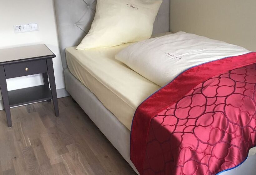 컴포트 싱글 룸, Mokni S Palais Hotel & Spa
