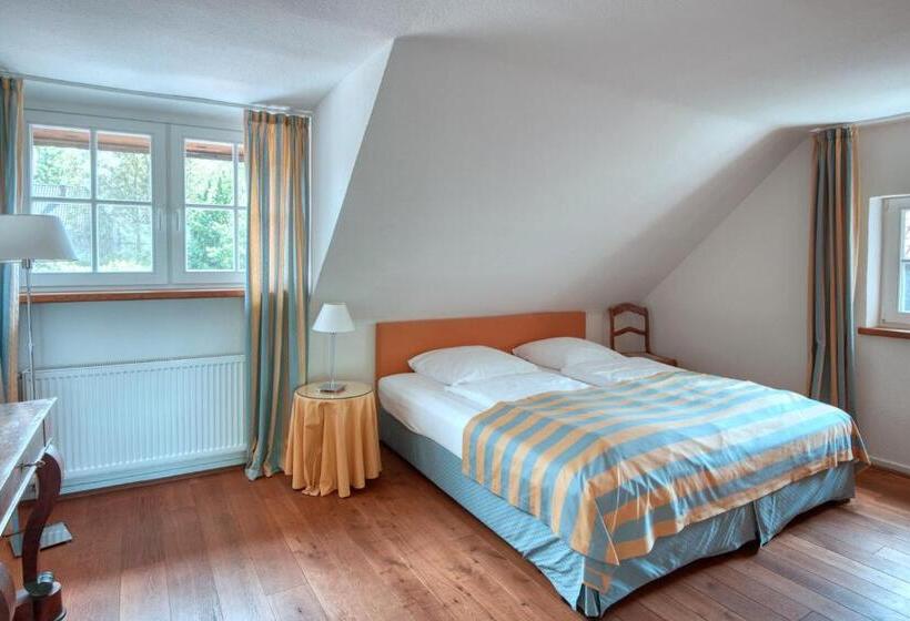 استودیو استاندارد با تخت کینگ, Schloss Wissen