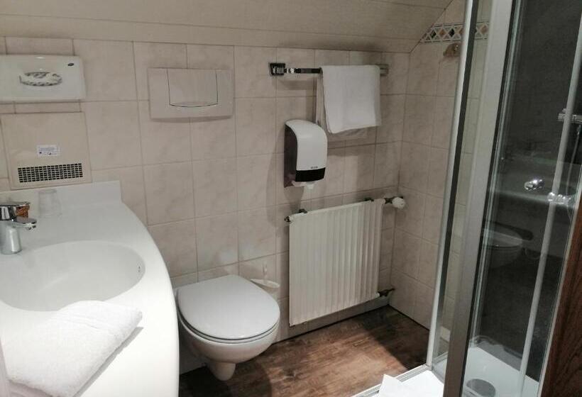 Номер Стандарт, Land Gut Hotel Zur Brücke