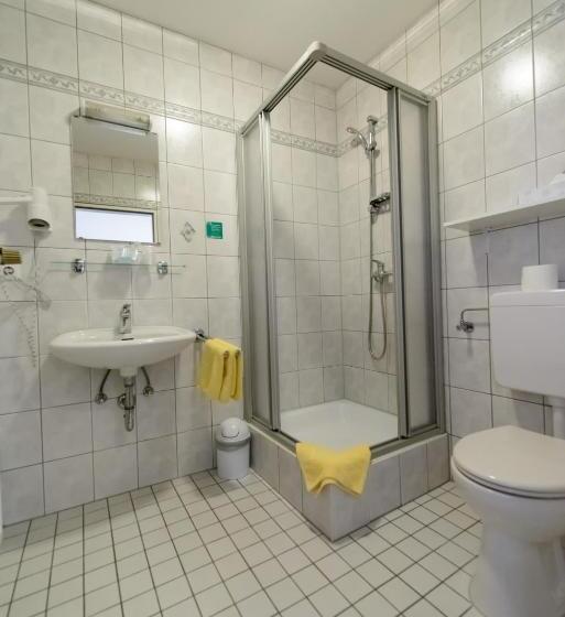 Номер Стандарт Индивидуальный, Gasthof Hotel Zum Rebstock