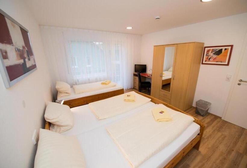 Номер Стандарт Трехместный, Gasthof Hotel Zum Rebstock