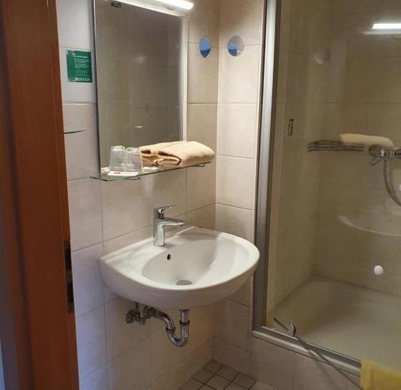 Номер Economy Индивидуальный, Gasthof Hotel Zum Rebstock