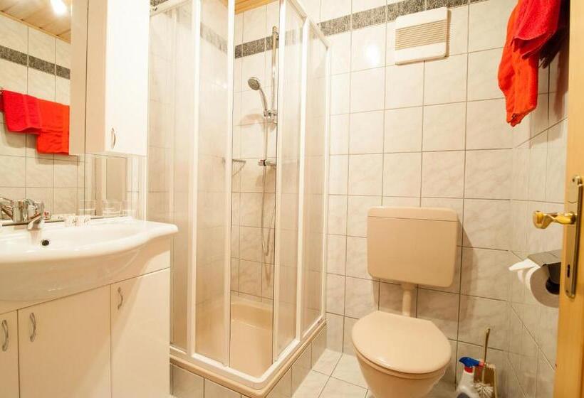 Номер Стандарт с Балконом, Pension Pichlerhof
