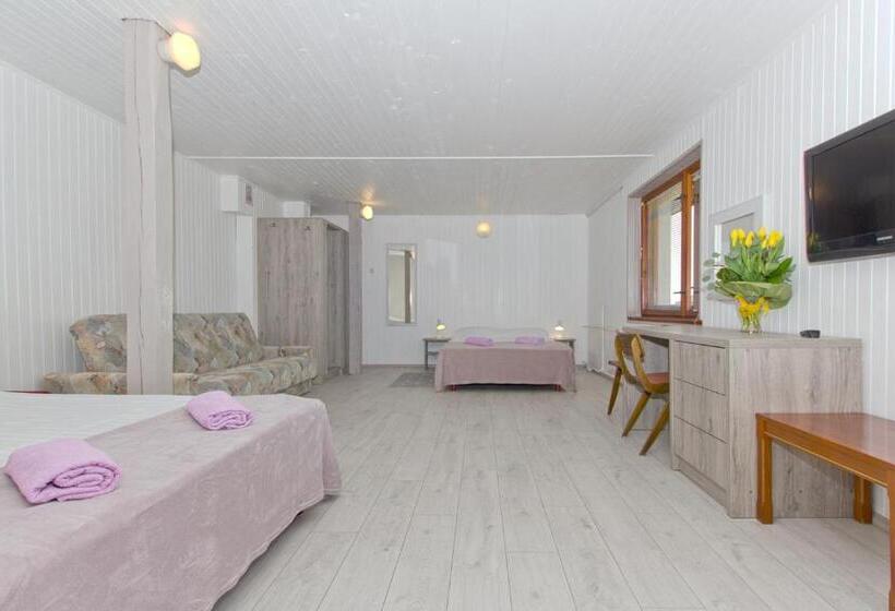 Студия Стандарт, Villa Linne