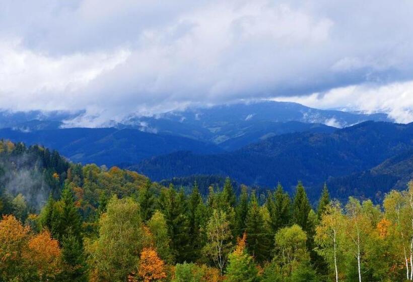Номер Superior, Landhotel Basler Hof