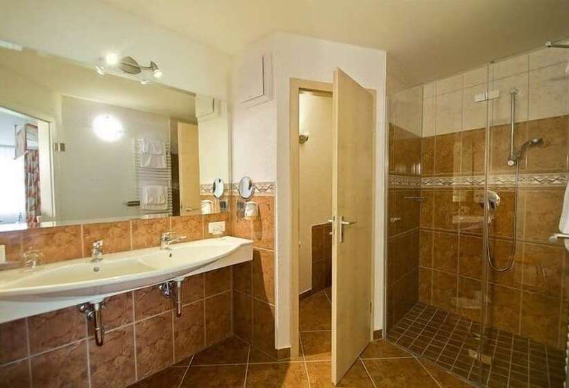 Номер Deluxe, Landhotel Basler Hof